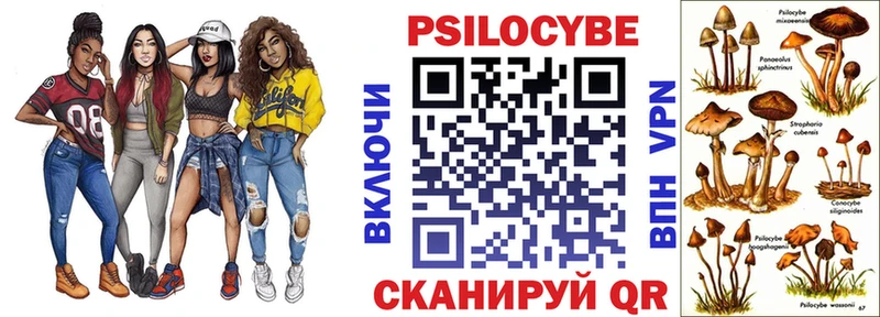 гидра   Новоалтайск  Псилоцибиновые грибы Psilocybine cubensis  где найти наркотики 